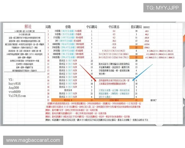 PA视讯倍投系统操作流程详解，助你快速上手实现精准倍投
