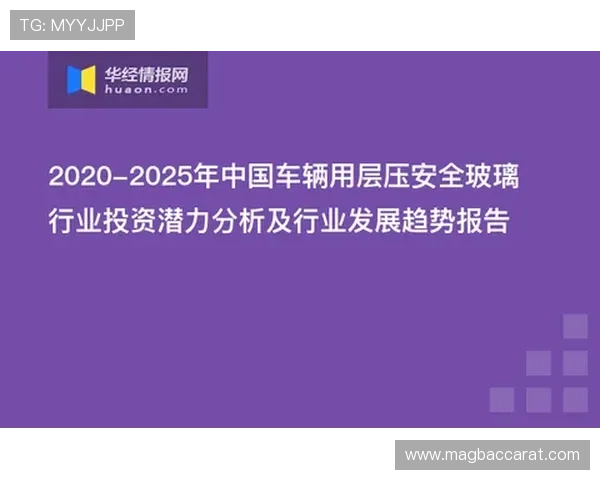了解ag视讯唯一官网的安全措施确保每位玩家的资金和信息安全